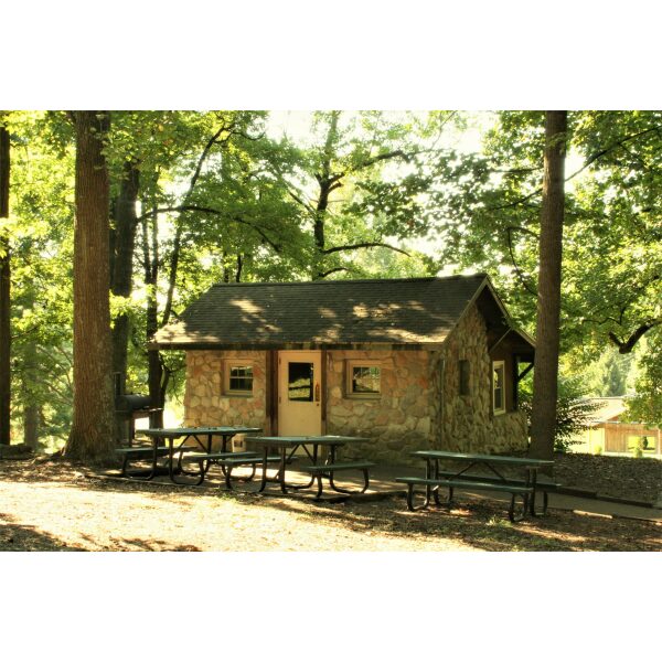 Shelter #7